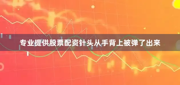 专业提供股票配资针头从手背上被弹了出来