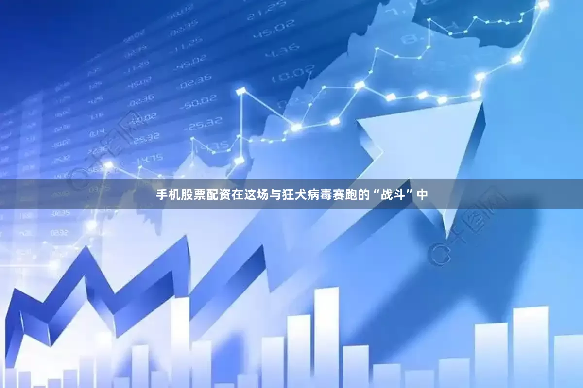 手机股票配资在这场与狂犬病毒赛跑的“战斗”中
