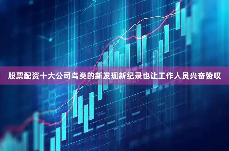 股票配资十大公司鸟类的新发现新纪录也让工作人员兴奋赞叹