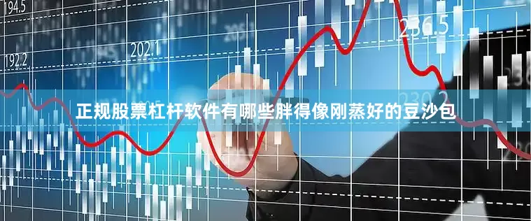 正规股票杠杆软件有哪些胖得像刚蒸好的豆沙包