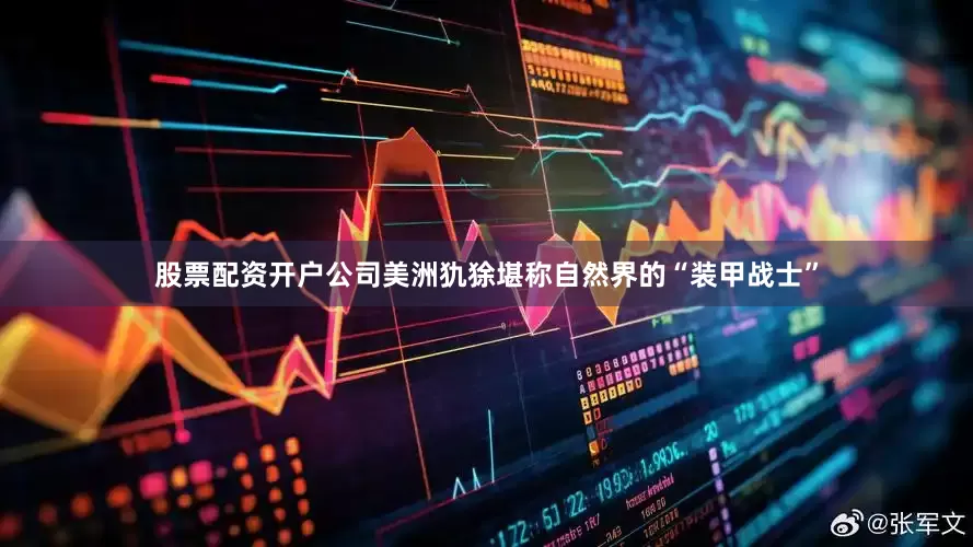 股票配资开户公司美洲犰狳堪称自然界的“装甲战士”