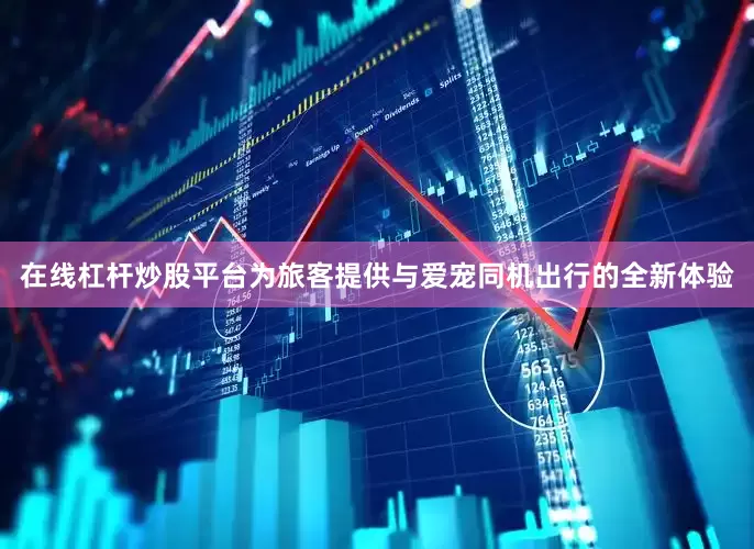 在线杠杆炒股平台为旅客提供与爱宠同机出行的全新体验
