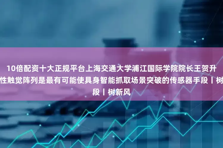 10倍配资十大正规平台上海交通大学浦江国际学院院长王贺升：柔性触觉阵列是最有可能使具身智能抓取场景突破的传感器手段丨树新风