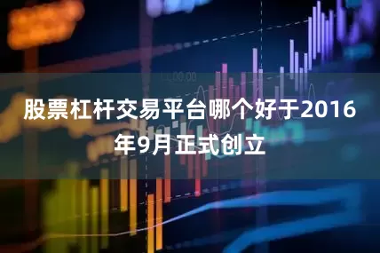 股票杠杆交易平台哪个好于2016年9月正式创立