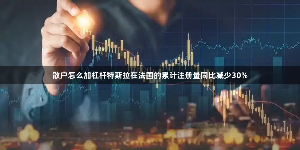 散户怎么加杠杆特斯拉在法国的累计注册量同比减少30%