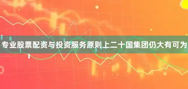 专业股票配资与投资服务原则上二十国集团仍大有可为