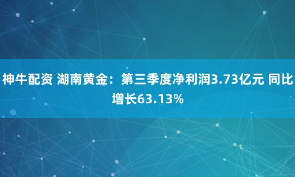 神牛配资 湖南黄金：第三季度净利润3.73亿元 同比增长63.13%