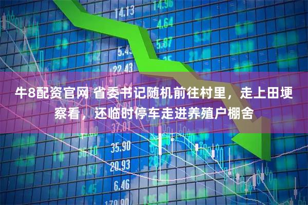 牛8配资官网 省委书记随机前往村里，走上田埂察看，还临时停车走进养殖户棚舍